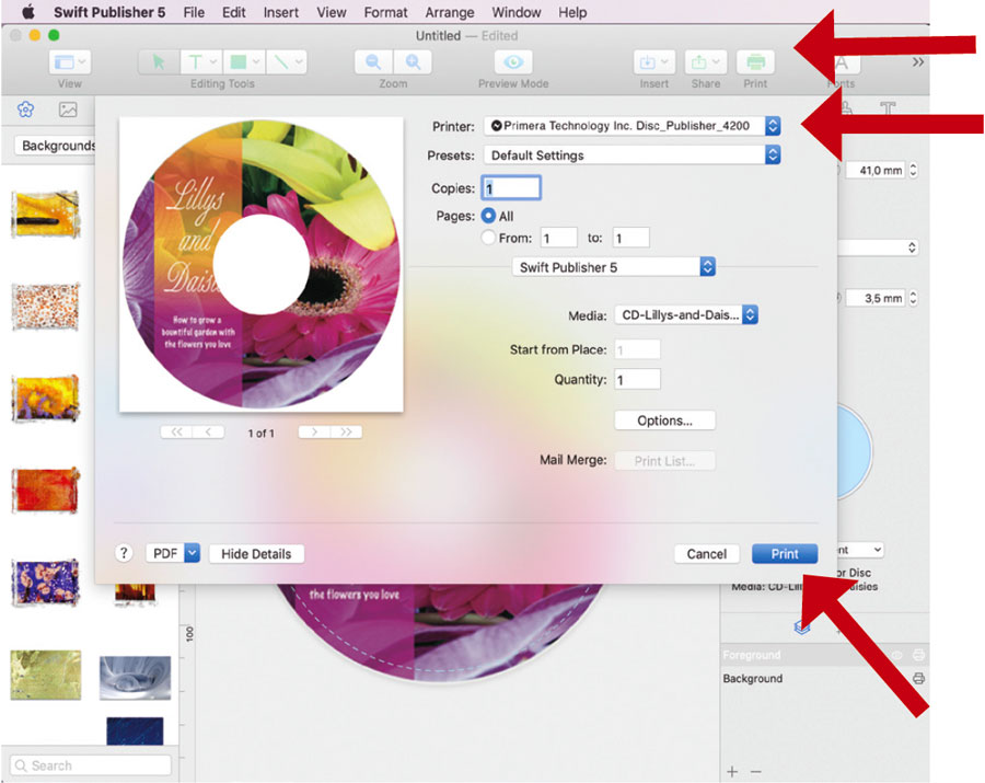 disc publisher