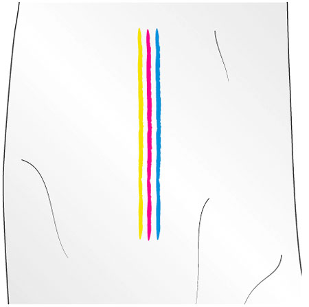 disc publisher