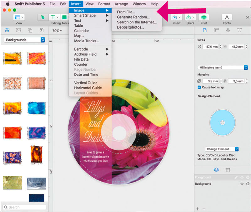 disc publisher