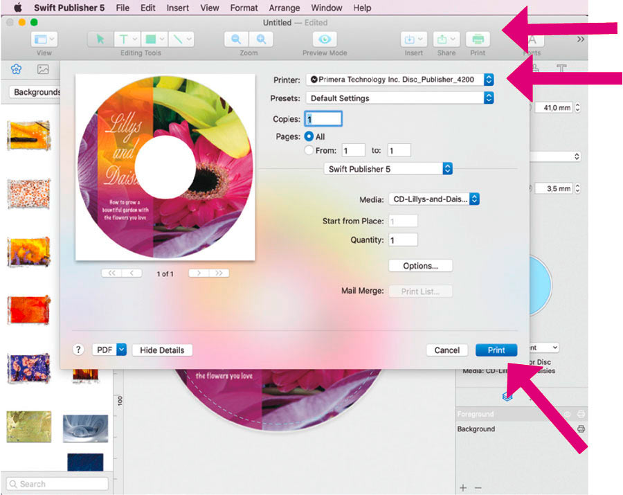 disc publisher