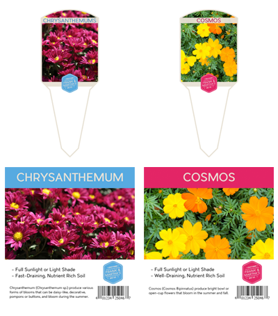 Primera tag samples