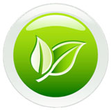 Primera goes green