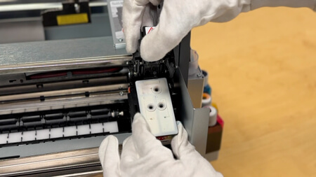 Remove the print head.